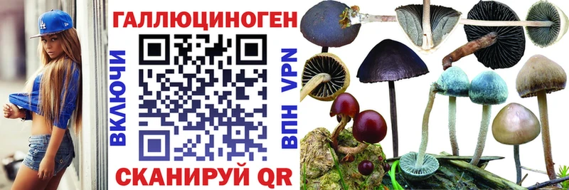 Псилоцибиновые грибы мицелий Агрыз